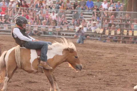 A child wearing a helmet rides a pony in an arena with spectators in the background.