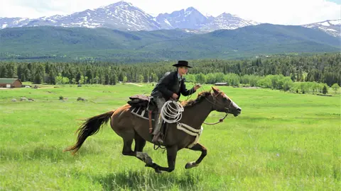 A person rides a horse across a grassy field with mountains in the background.
