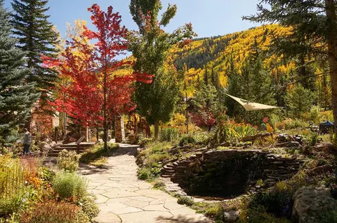 A stone pathway winds through a garden during autumn with colorful foliage.