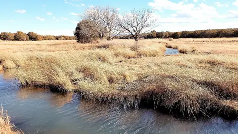 A narrow stream flows through a grassy meadow under a partly cloudy sky.