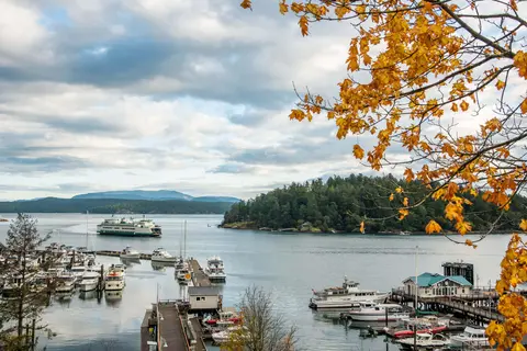 A scenic view of a harbor with boats and a ferry on the water, framed by autumn leaves.