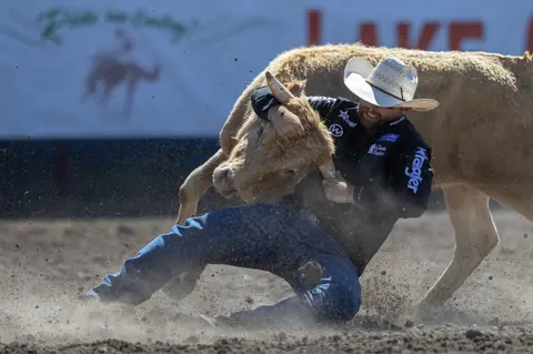 A cowboy wrestles a steer in a dusty arena.