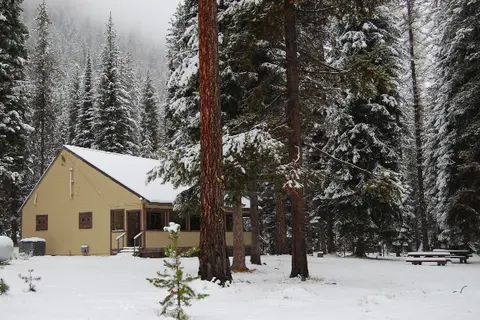 A single-story cabin stands in a snowy forest surrounded by tall pine trees.
