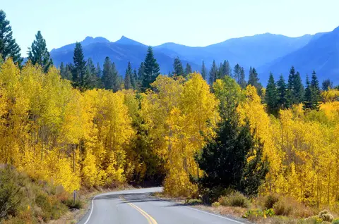A winding asphalt road passes through a vibrant autumn forest with yellow trees and mountains in the background.