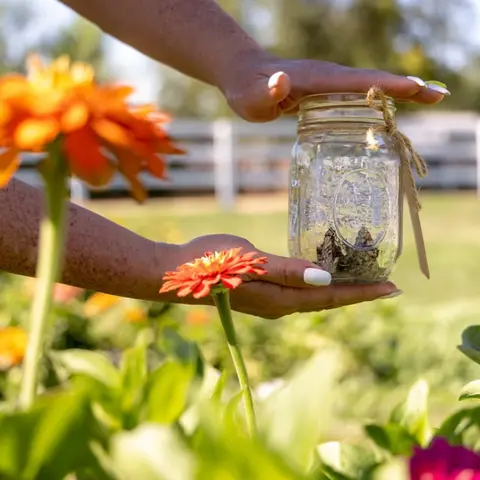 A person holds a jar decorated with twine among orange flowers.