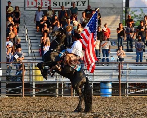A person on a rearing black horse holds an American flag in an arena.