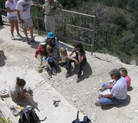 A group of people observe an excavation site outdoors.