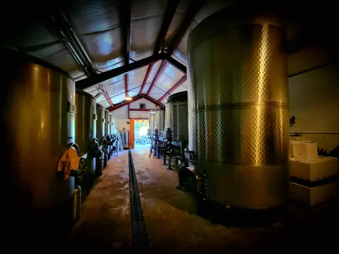 A row of large metal fermentation tanks inside a building.