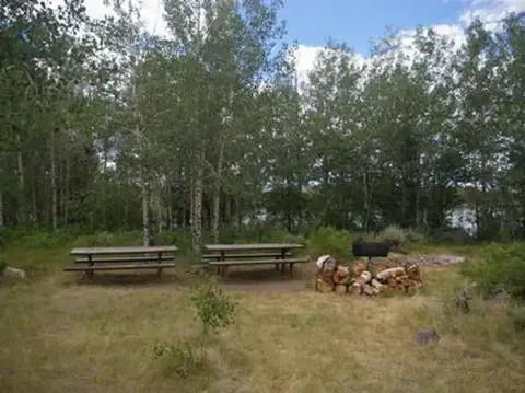 A campsite with picnic tables and a fire pit surrounded by trees.