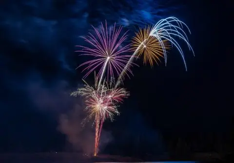 Colorful fireworks light up the night sky.