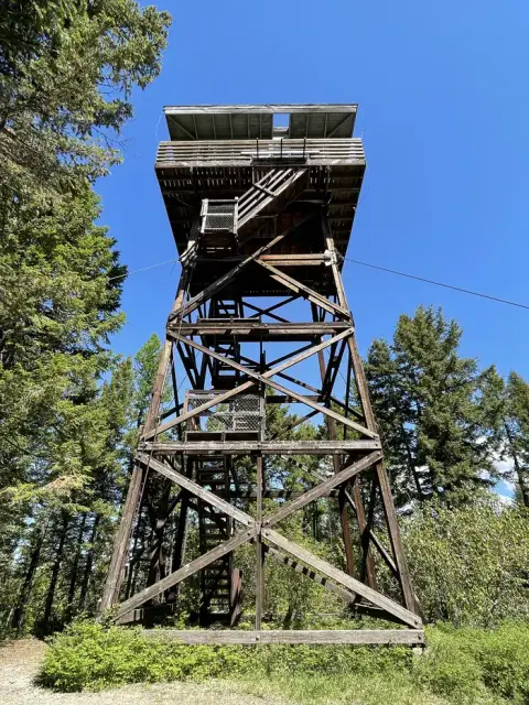 A tall wooden lookout tower stands surrounded by trees under a clear blue sky.
