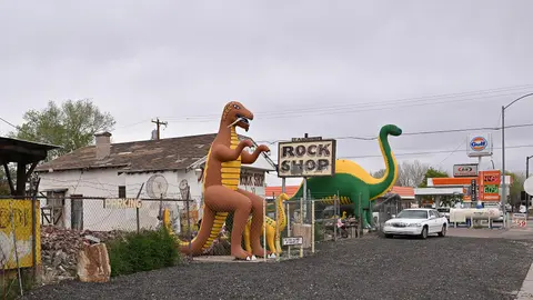 Dinosaur statues, Rainbow Rock Shop.