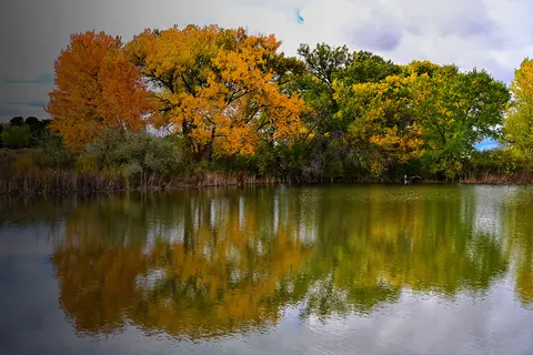 Autumn trees with orange and green leaves reflecting in a calm body of water.