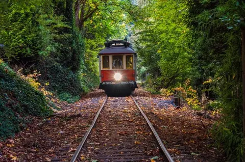 A vintage trolley travels on tracks through a dense forest with autumn leaves.