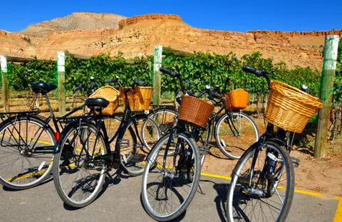 Several bicycles with wicker baskets parked in front of a vineyard and rocky cliffs.