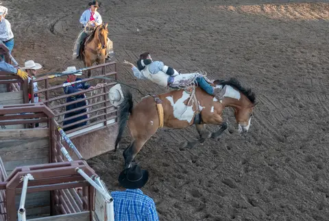 A cowboy is bucked off a horse in an arena.
