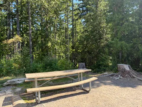 A wooden picnic table sits in a clearing surrounded by tall trees.