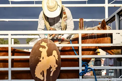 A cowboy preparing a horse in a chute at a rodeo.