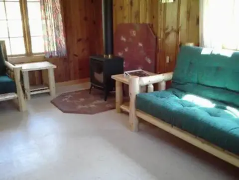 An interior room with a wooden wall, stove, and a green couch.