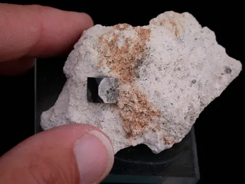 A hand holds a rock specimen featuring a dark crystal cube.