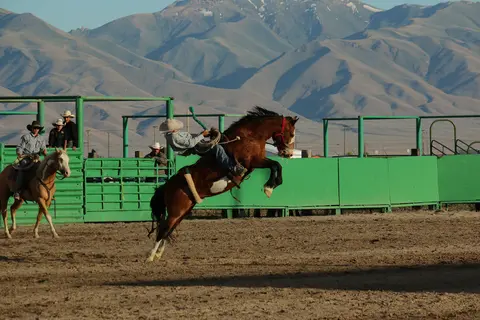 A cowboy rides a bucking horse in an arena with mountains in the background.