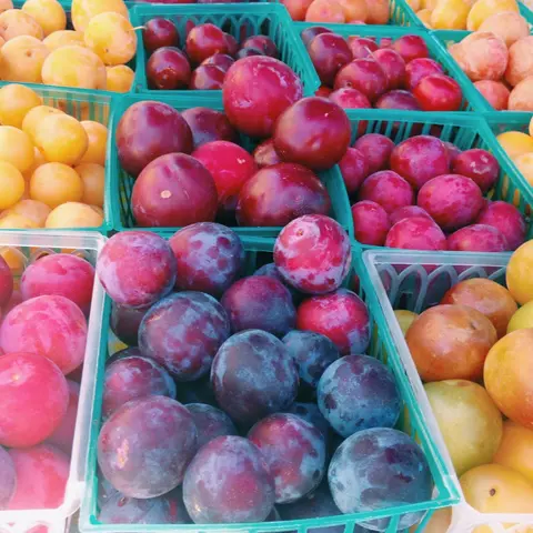 Baskets filled with fresh colorful plums and fruit.