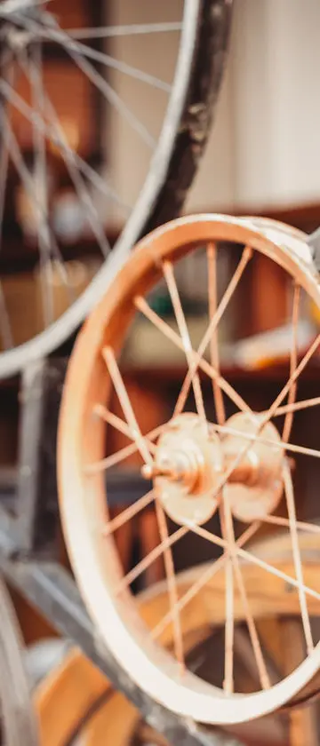 Close-up of bicycle wheels displayed indoors.