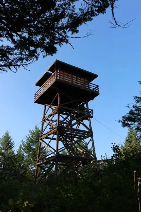 A tall wooden fire lookout tower stands among trees under a clear blue sky.