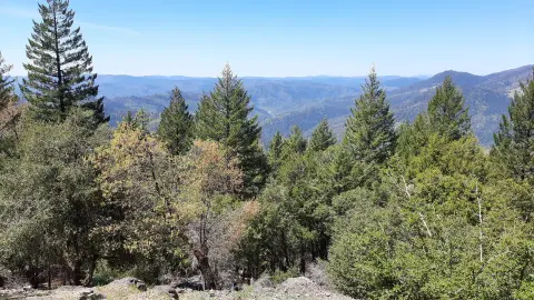 A scenic view of a forested mountain landscape under a clear blue sky.