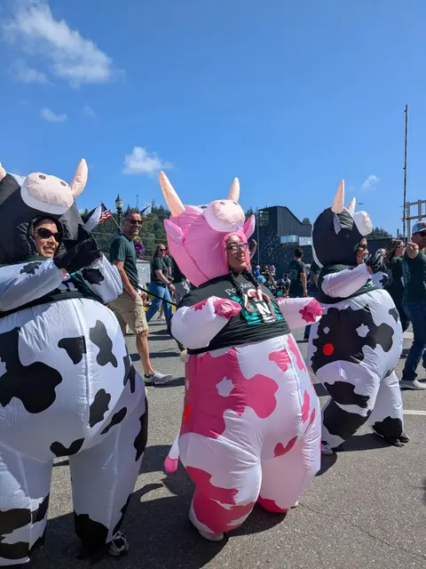 People wearing inflatable cow costumes walk down a street during an outdoor event.