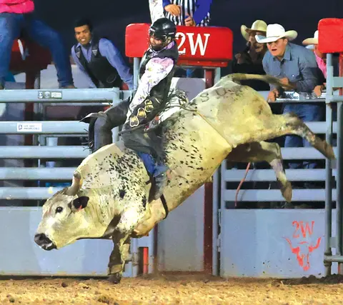 A cowboy riding a bucking bull in an arena.