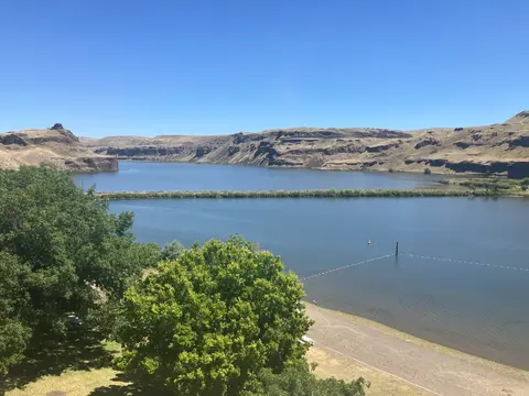 A wide view of a lake bordered by dry hills and green trees under a clear blue sky.
