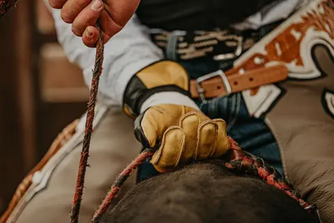 A cowboy holds a rope while riding a horse.