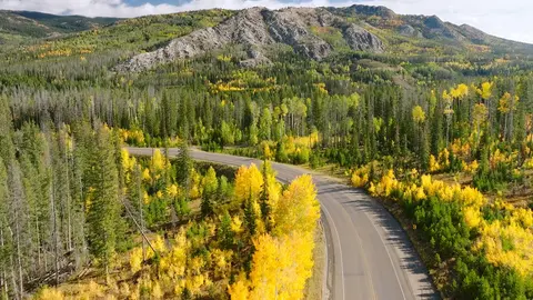 A winding road through a forest with autumn foliage and mountains in the background.