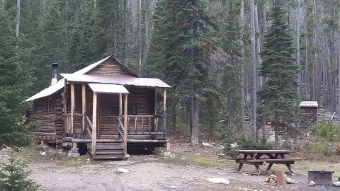 A rustic log cabin sits in a dense pine forest with a picnic table nearby.