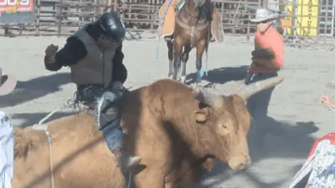 A cowboy rides a bull in an arena.