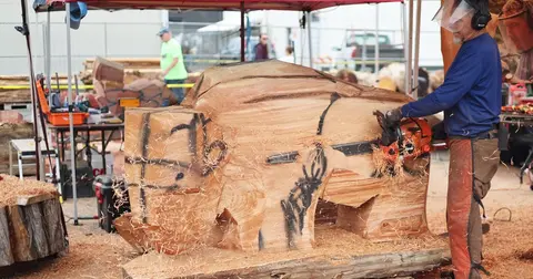 A man uses a chainsaw to carve a large wooden bison sculpture.