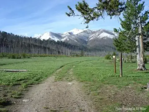 A dirt road leads through a grassy field towards snow-capped mountains.
