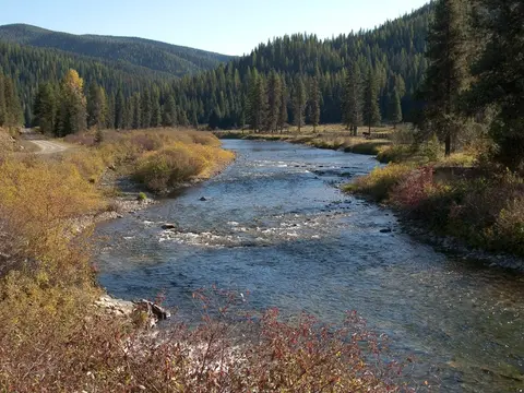 A river flows through a valley surrounded by a pine forest and mountains.