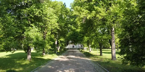 A shaded gravel path leads towards a building framed by lush green trees.