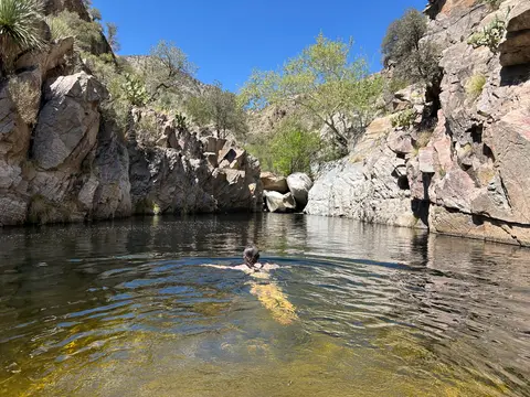 A person swims in a pool surrounded by rocky canyon walls and trees under a clear blue sky.