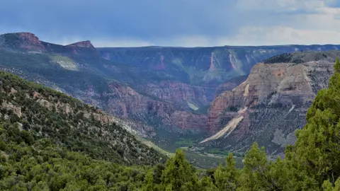 A wide canyon landscape with layered rock cliffs and forested slopes under a cloudy sky.