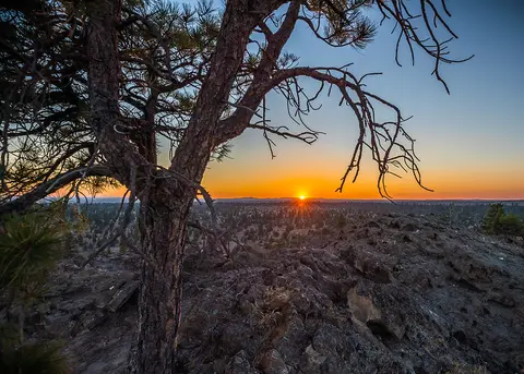 A sunset viewed through the branches of a pine tree over a rocky landscape.