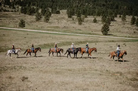 A group of people ride horses across a grassy field.