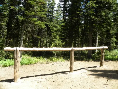 A wooden hitching rail stands in a clearing surrounded by forest.
