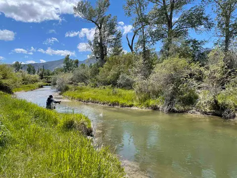 A person fly fishes in a winding river on a sunny day.