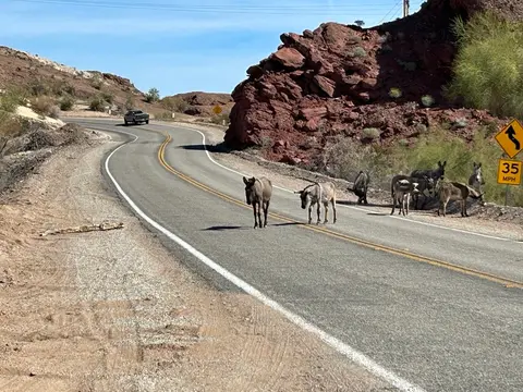 Parker Dam Road Back Country Byway.