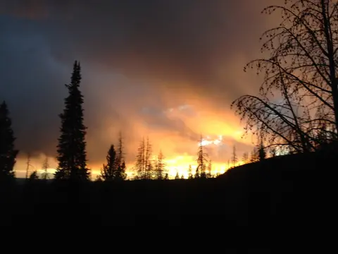 A sunset glows behind silhouetted trees and a hill.