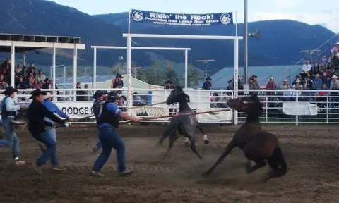 People handling horses in an outdoor arena with spectators in the background.