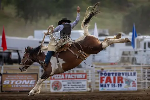 A cowboy rides a bucking horse at a rodeo event.